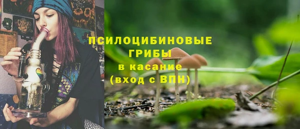 ГАЛЛЮЦИНОГЕННЫЕ ГРИБЫ Каменногорск