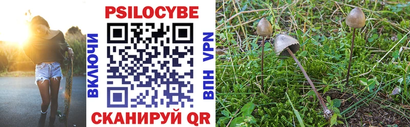 Псилоцибиновые грибы мицелий  Купить где  Ельня 